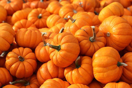 5 Pumpkin Recipes That'll Give You Autumn Feels!